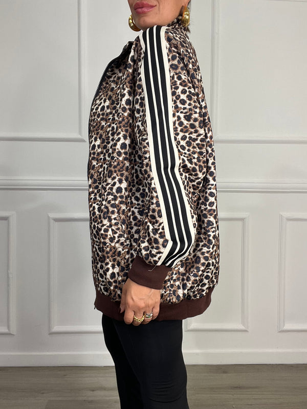Bomber Dodo Leopard